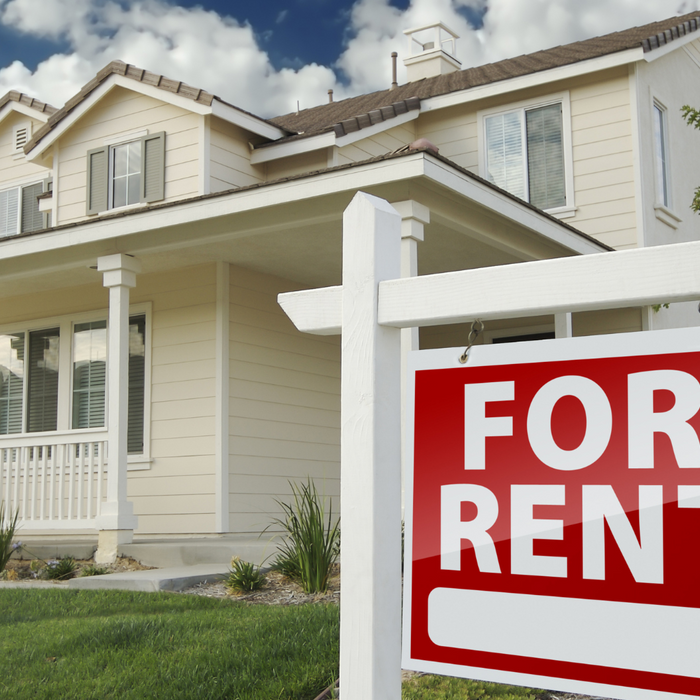 7 Things You Can Do When Renting to Make a House a Home