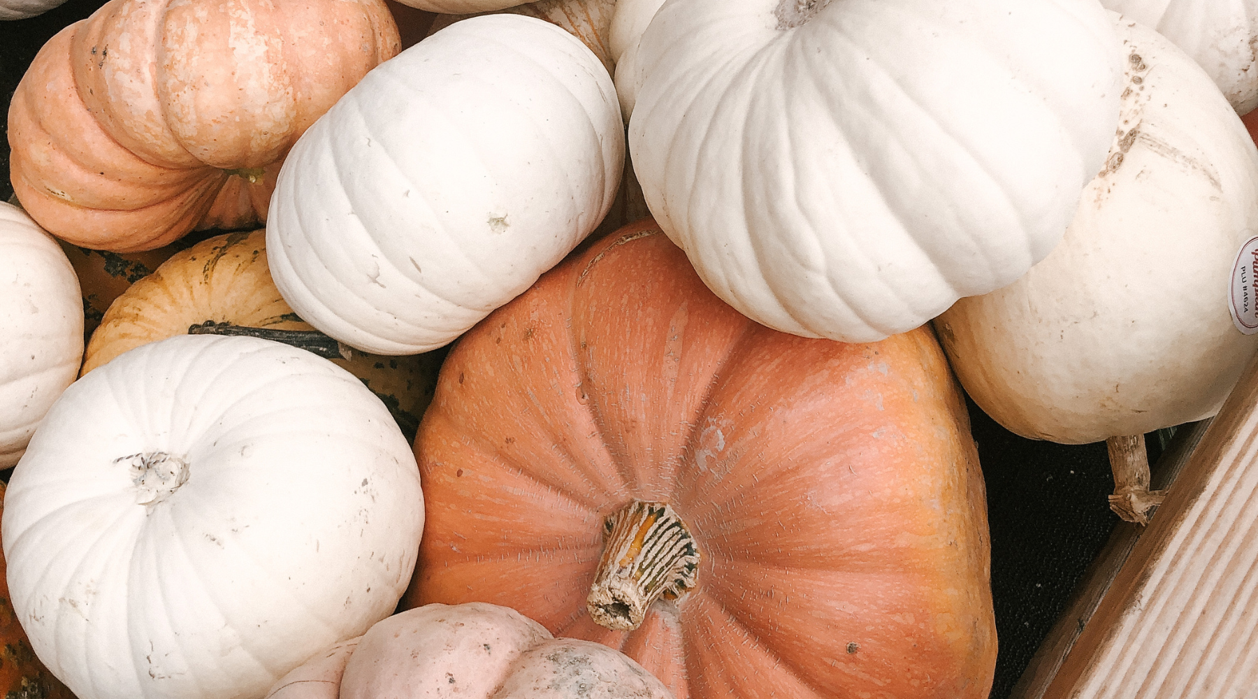 Various orange, yellow and white pumpkins in a crate