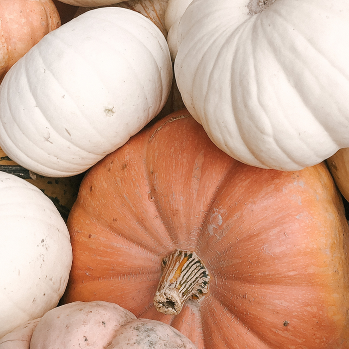 Various orange, yellow and white pumpkins in a crate