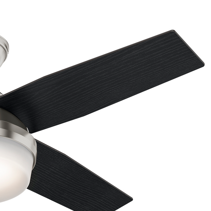 Dempsey 44" Ceiling Fan-Fans-Hunter-Lighting Design Store