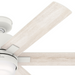 Radeon 52" Ceiling Fan-Fans-Hunter-Lighting Design Store