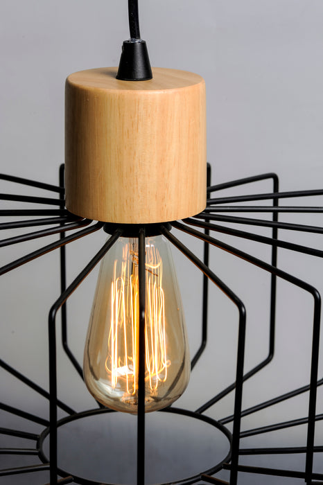 Bjorn Pendant-Mini Pendants-Maxim-Lighting Design Store