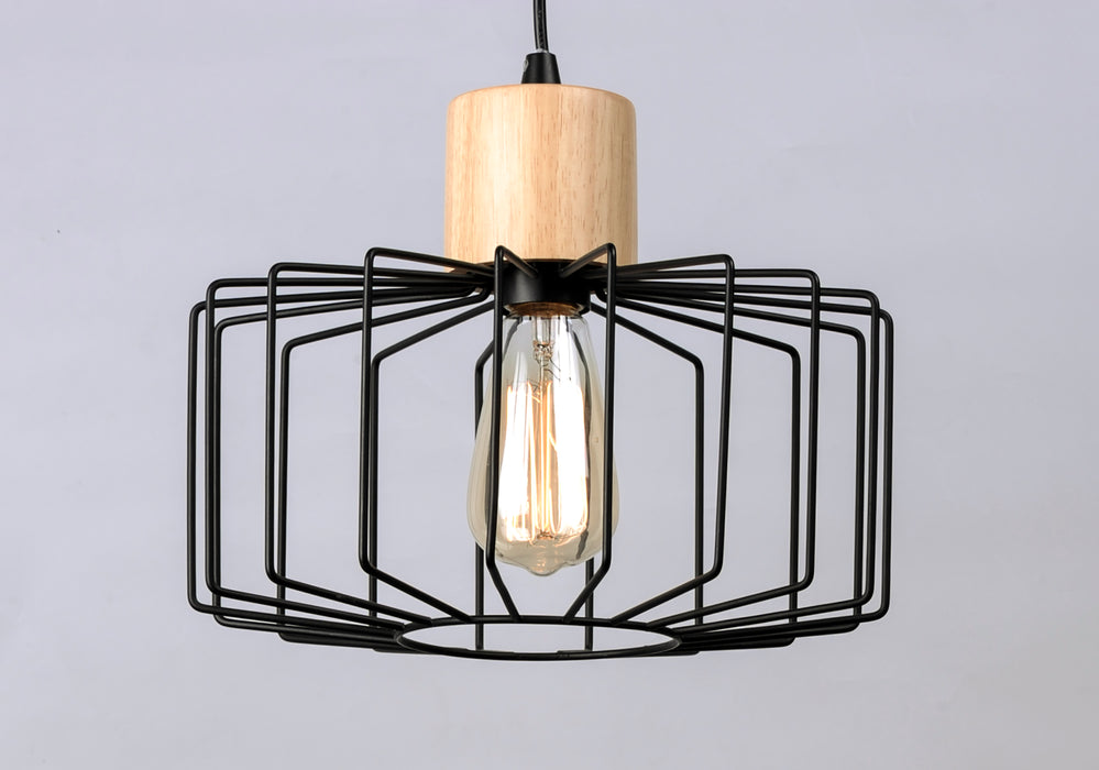 Bjorn Pendant-Mini Pendants-Maxim-Lighting Design Store