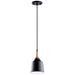 Kichler - 43682BK - One Light Mini Pendant - Danika - Black