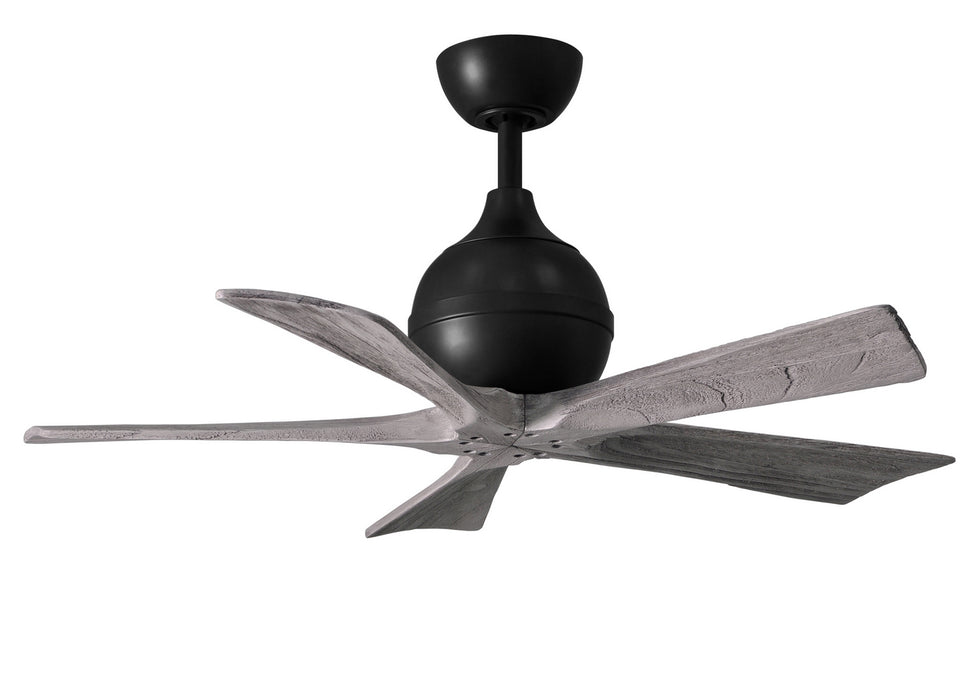 Matthews Fan Company - IR5-BK-BW-42 - 42 Inch Ceiling Fan - Irene-5 - Matte Black