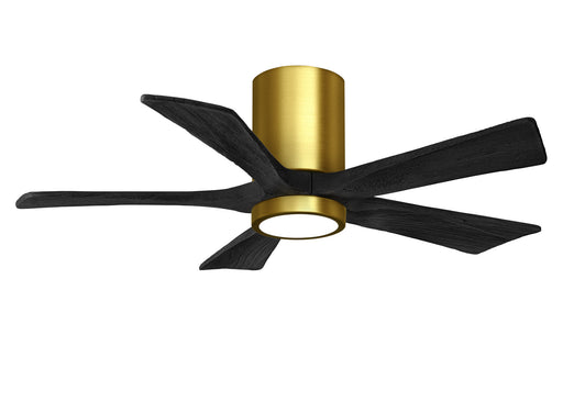 Matthews Fan Company - IR5HLK-BRBR-BK-42 - 42 Inch Ceiling Fan - Irene-5HLK - Brushed Brass