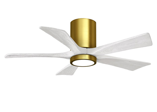 Matthews Fan Company - IR5HLK-BRBR-MWH-42 - 42 Inch Ceiling Fan - Irene-5HLK - Brushed Brass