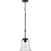 Progress Lighting - P500238-031 - One Light Mini Pendant - Winslett - Black