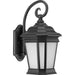 Progress Lighting - P5686-31MD - One Light Wall Lantern - Crawford - Black