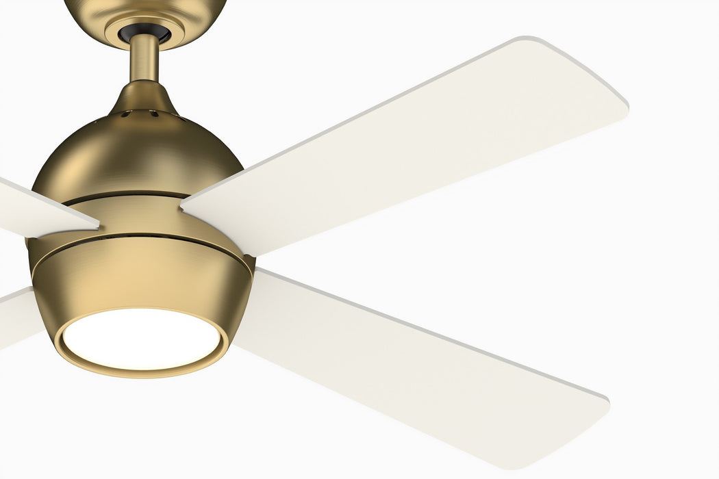 Fanimation - FP7644BS - 44 Inches Ceiling Fan - Kwad 44 - Brushed Satin Brass