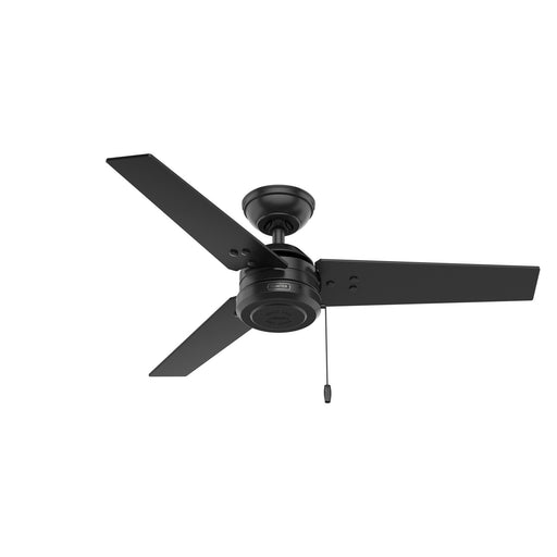 Hunter - 50260 - 44 InchesCeiling Fan - Cassius - Matte Black