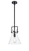 Innovations - 411-1S-BK-10CL - LED Mini Pendant - Newton - Matte Black