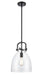 Innovations - 412-1S-BK-10CL - LED Mini Pendant - Newton - Matte Black