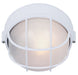 Canarm - IOL17WH - One Light Outdoor Lantern - Marine - White