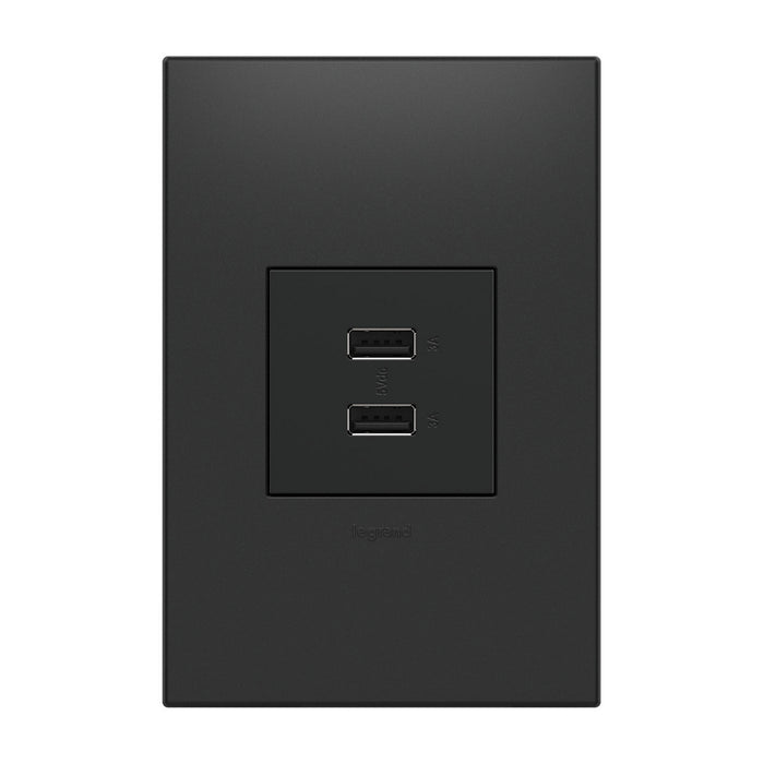 Legrand - ARUSB2AA6G4 - USB Type-A/A Outlet Module - Adorne - Graphite