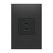 Legrand - ARUSB2AA6G4 - USB Type-A/A Outlet Module - Adorne - Graphite