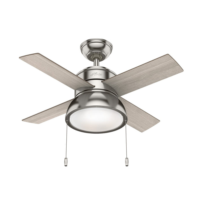 Hunter - 51040 - 36 InchesCeiling Fan - Loki - Brushed Nickel
