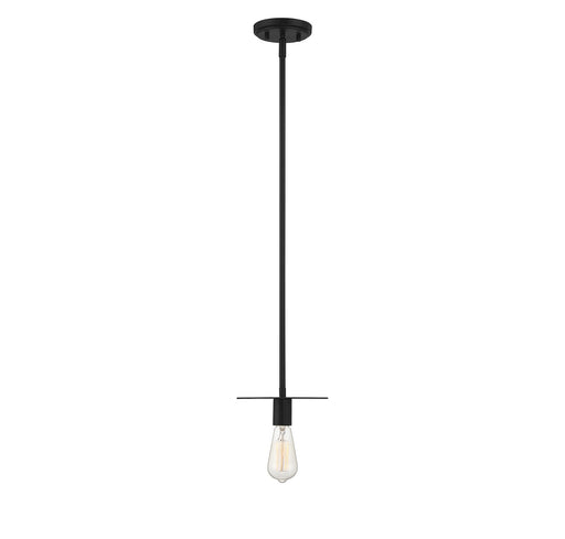 Meridian - M70113MBK - One Light Mini Pendant - Matte Black