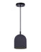 Canarm - IPL729B01BK6 - One Light Pendant - Jack - Black