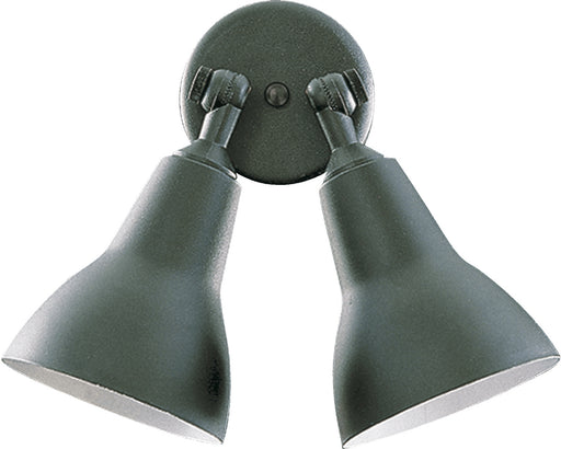 Floodlights Two Light Ceiling Mount Black