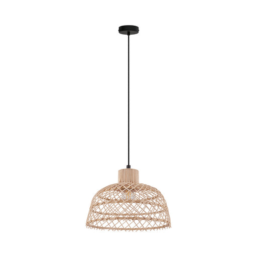 Ausnby One Light Pendant Black