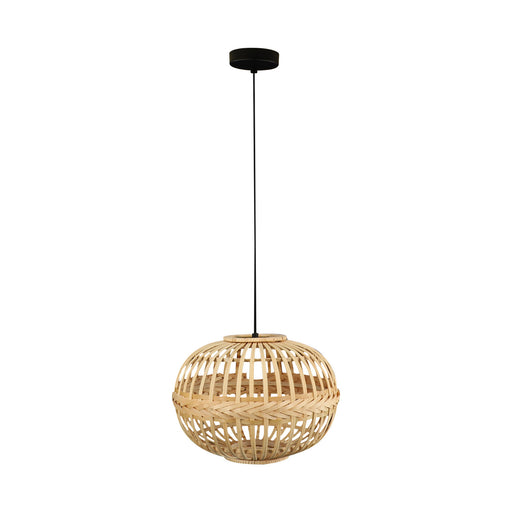 Amsfield One Light Pendant Brown