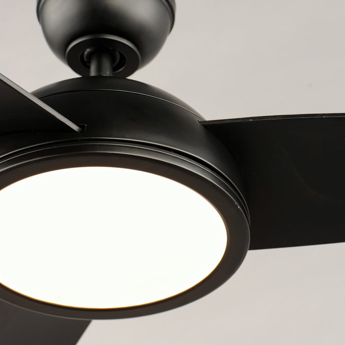 Maxim - 88801BK - 52 Inch Ceiling Fan - Cupola - Black