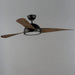 Maxim - 88801OI - 52 Inch Ceiling Fan - Cupola - Oil Rubbed Bronze