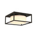 Eurofase - 41965-016 - Two Light Outdoor Flushmount - Ren - Black