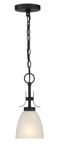 Kaitlen One Light Pendant / Semi Flush Coal