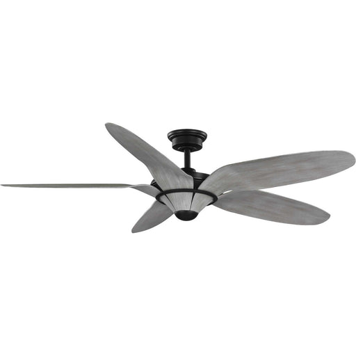 Progress Lighting - P250073-182 - 60" Ceiling Fan - Mesilla - Flat Black