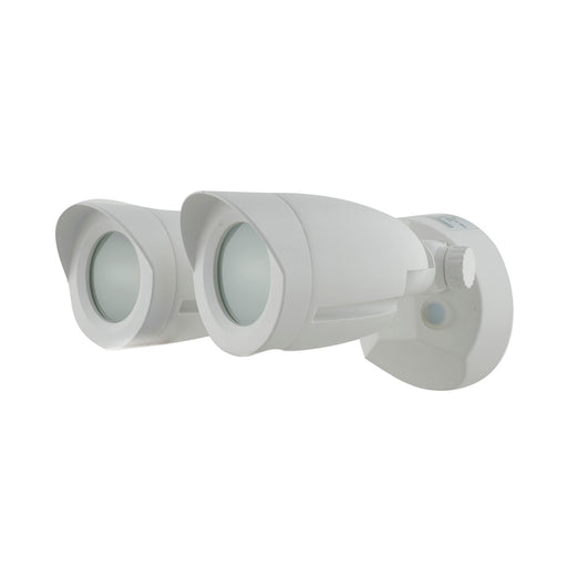 LED Security Light White