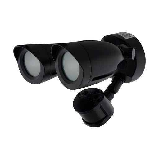 LED Security Light Black