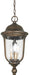 Minka-Lavery - 73246-748 - Three Light Outdoor Chain Hung - Havenwood - Tauira Bronze And Alder Silver