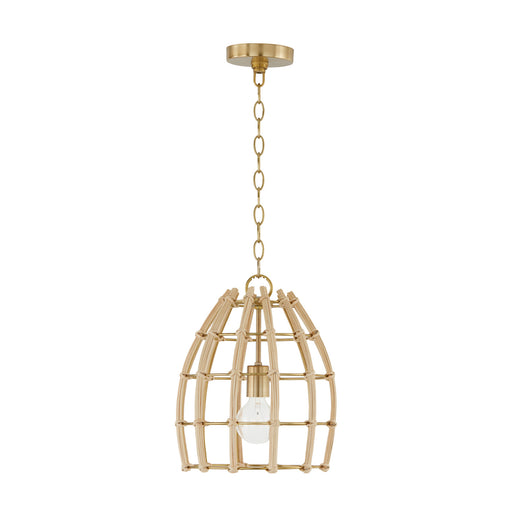 Wren One Light Pendant