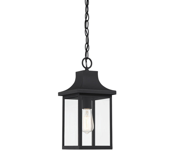 Meridian - M50052BK - One Light Outdoor Hanging Lantern - Black