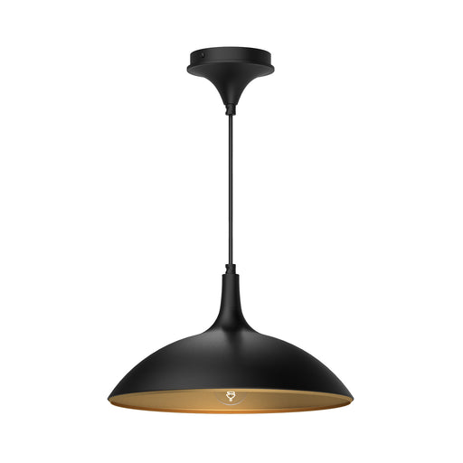 Abel One Light Pendant Matte Black