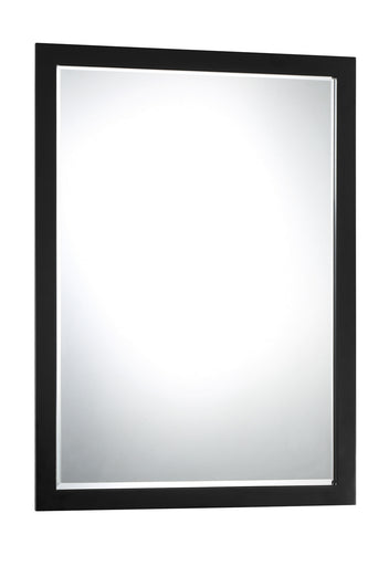 Paradox Mirror Coal