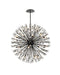 Vera 34 Light Pendant Black-Large Chandeliers-Elegant Lighting-Lighting Design Store