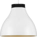 Progress Lighting - P500373-028-30 - LED Pendant - Radian Led - Satin White