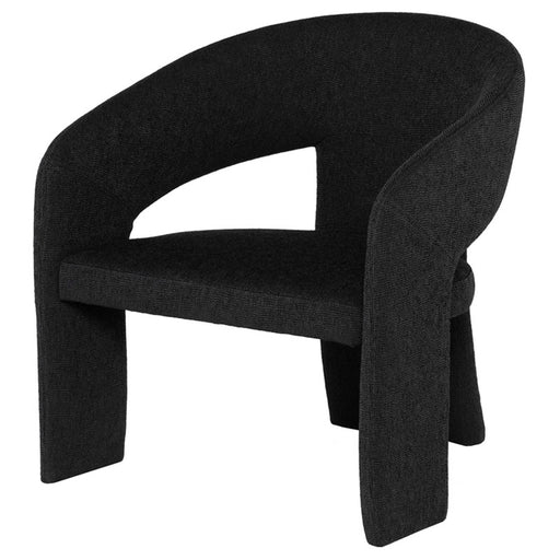 Nuevo - HGSN239 - Occasional Chair - Anise - Activated Charcoal