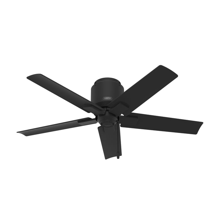 Hunter - 51581 - 44 InchesCeiling Fan - Terrace Cove - Matte Black