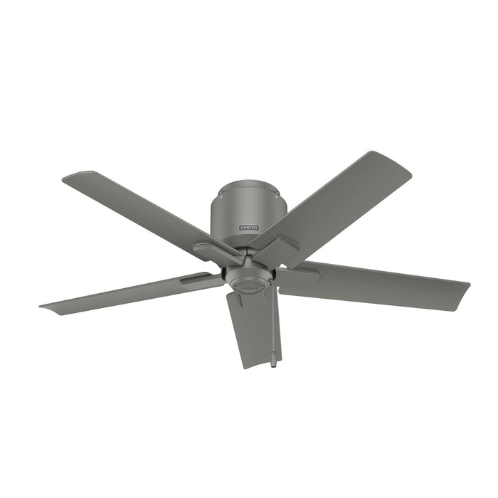 Hunter - 51582 - 44 InchesCeiling Fan - Terrace Cove - Matte Silver