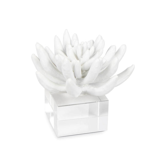 Succulent Sculpture White