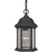 Craftmade - Z291-TB - One Light Outdoor Pendant - Hex Style Cast - Textured Black