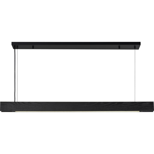 Taya One Light Ceiling Fixture Matte Black