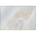 Renwil - OL2123 - Canvas Art - Dimona - Champagne Silver