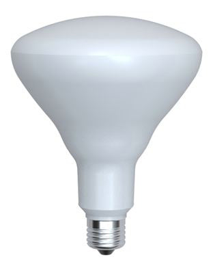 LED Bulbs Light Bulb