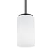 Generation Lighting - 6124601EN3-112 - One Light Mini-Pendant - Alturas - Midnight Black