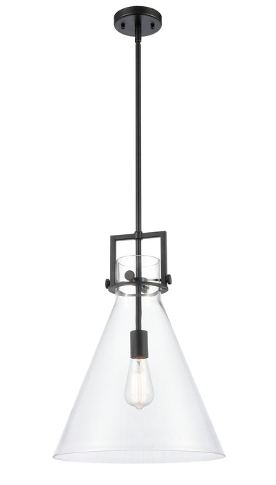 Innovations - 411-1S-BK-14CL - LED Pendant - Newton - Matte Black